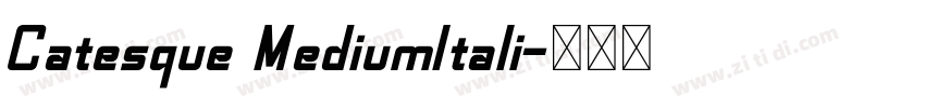 Catesque MediumItali字体转换 Catesque MediumItali字体转换